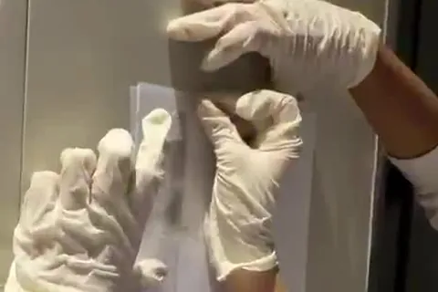 Lifted prints being transferred onto a backing card